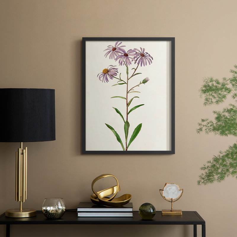 Mauve Garden Flowers III, reproduction encadrée - bois massif, H 21 po x l 17 po, Noir, noir, noir, noir