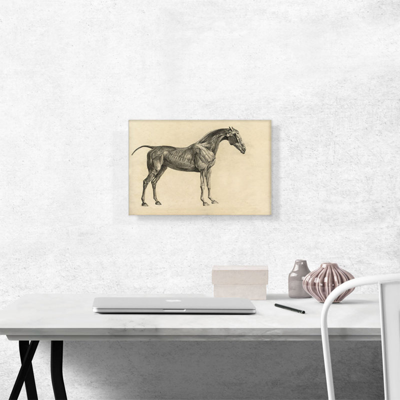 «The Anatomy of the Horse» par George Stubbs, reproduction d'art sur toile tendue, H 12 po x l 18 po x P 0,75 po