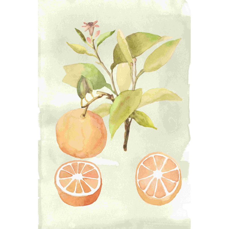 Aquarelle de fruits V, H 12 po x l 8 po x P 1,25 po