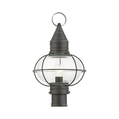 Aster Transparent Lantern Head
