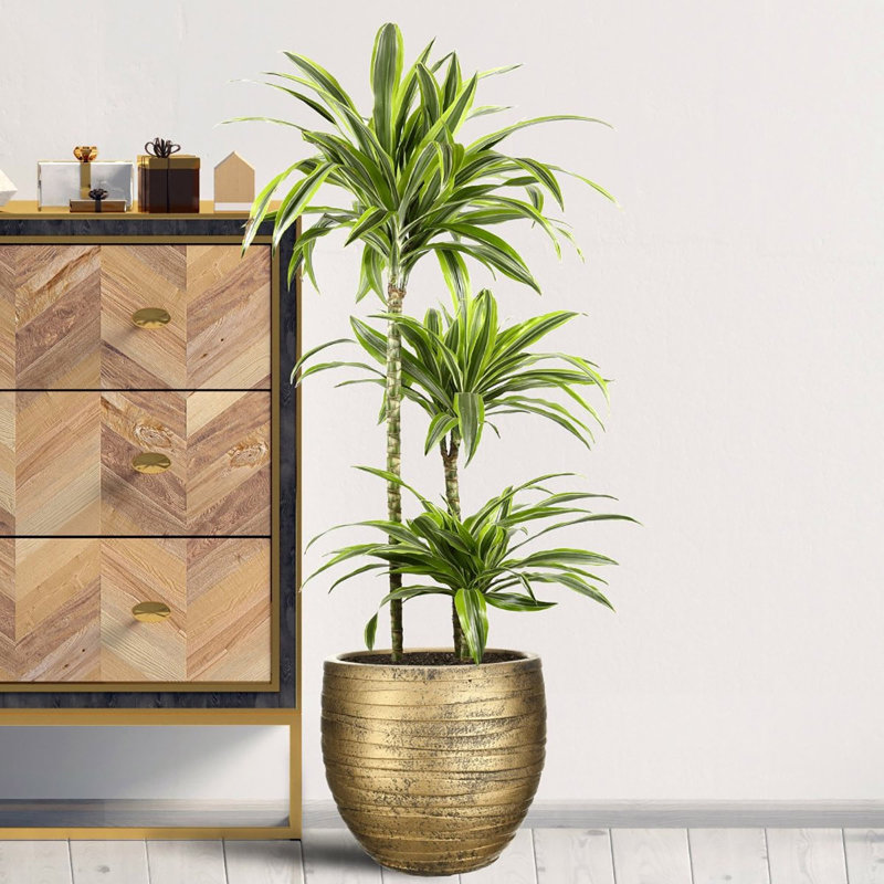 Gold Ribbed Stone Indoor Plant Pot Handmade Pot Planter, 31cm H x 37cm W x 37cm D