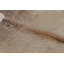 Modern Classics One-of-a-Kind 6'4x7'5 Area Rug