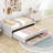 Wood Platform Bed with Trundle and 2 Drawers-1311064392