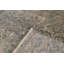 Damask Area Rug