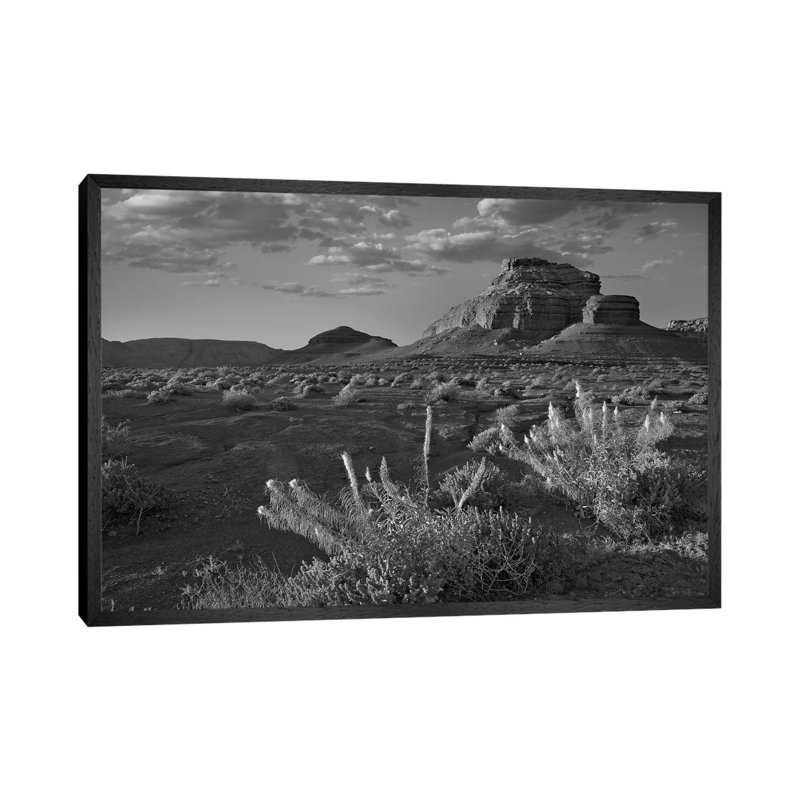 Miner's Candle Flowers, Cathedral Wash, Vermilion Cliffs National Monument, Arizona by Tim Fitzharris - Gallery-Wrapped Canvas Giclée on Canvas