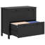 2 Drawer File Cabinet With Lock