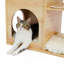 Meuble chat moderne de luxe pour chat