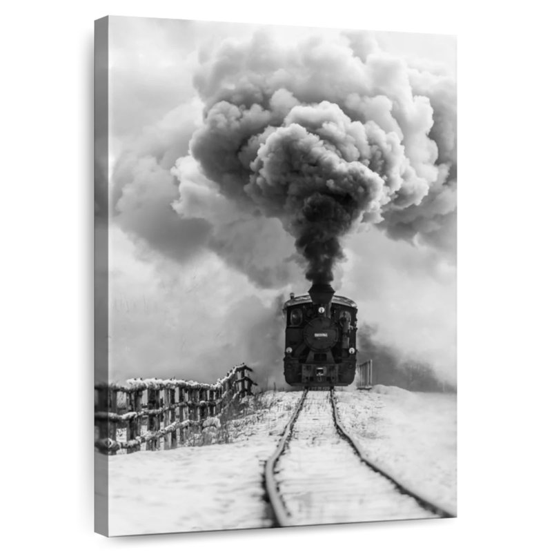 Mehar BW Old Train, 12" H x 8" W