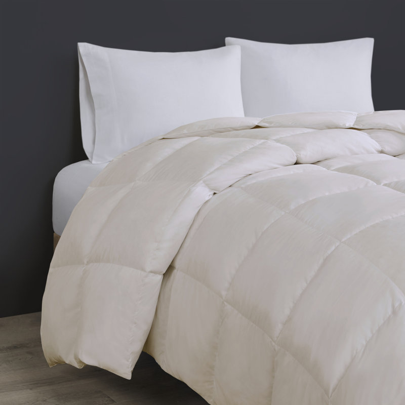 Sleep Philosophy Heavy Warmth Goose Feather and Down Oversize Comforter, Twin/Twin XL Comforter, Cream