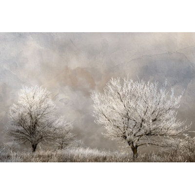 " Winter Frost " by Allen Kimberly