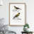 Bird Illustrations PL. 55 by Charles D' Orbigny - Single Picture Frame Painting-55457060-55457057