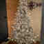 Customer photo 3 of 4