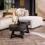 Amechi Coffee Table-331566479