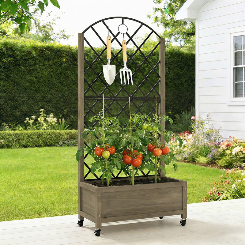 Raised Garden Bed, Carbonised