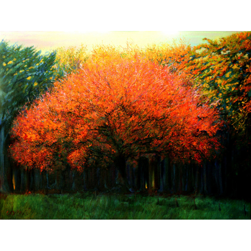 Wrapped Canvas Print