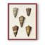 Impression encadrée «Cone Shell Collection II» - bois massif-383700390-383700414