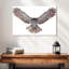 Owl Power-107703800