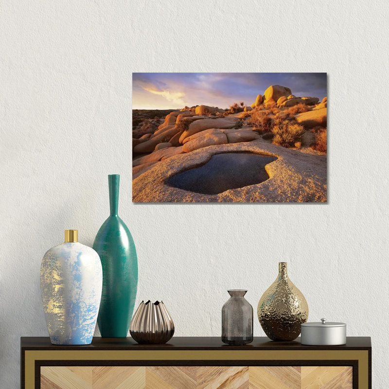 Water That Has Collected In Boulder, Joshua Tree National Park, California by Tim Fitzharris - No Frame Gallery-Wrapped Canvas Giclée on Canvas