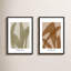 Marine Flora 3 & 4. Set of 2 by Romina Gadler - Paper Framed Wall Art-117405065-117405076