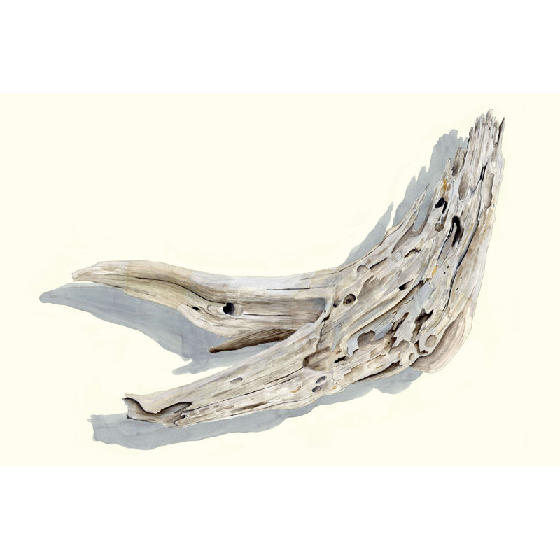 " Driftwood Study III ", 8" H x 12" W  