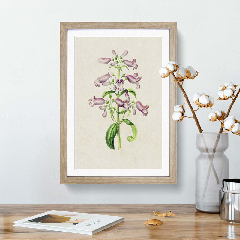 Purple Beardtongue Flower Illustration - Framed Print, 36cm H x 27cm W x 2cm D, Oak Framed