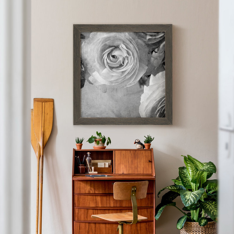 Renoncule foncé IV - cadre photo, H 21 po x l 21 po x P 1 po, Toile avec cadre gris, Pas de tapis