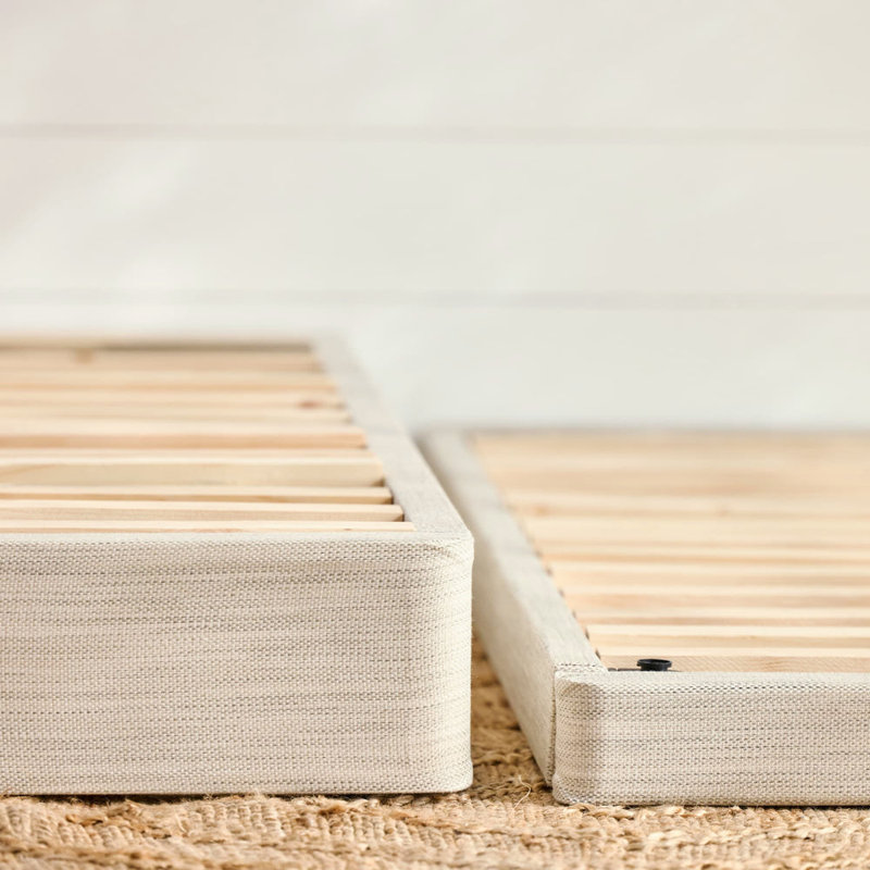 Avocado Foundation, Queen