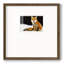 Foxpremium, reproduction encadrée-88073684