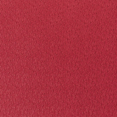 Ostrich Wallpaper