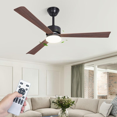 Ceiling Fan