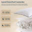 Coussin lombaire en plumes d'oie Pacific Coast-137887434-137887436