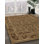 Oriental Indoor Rug