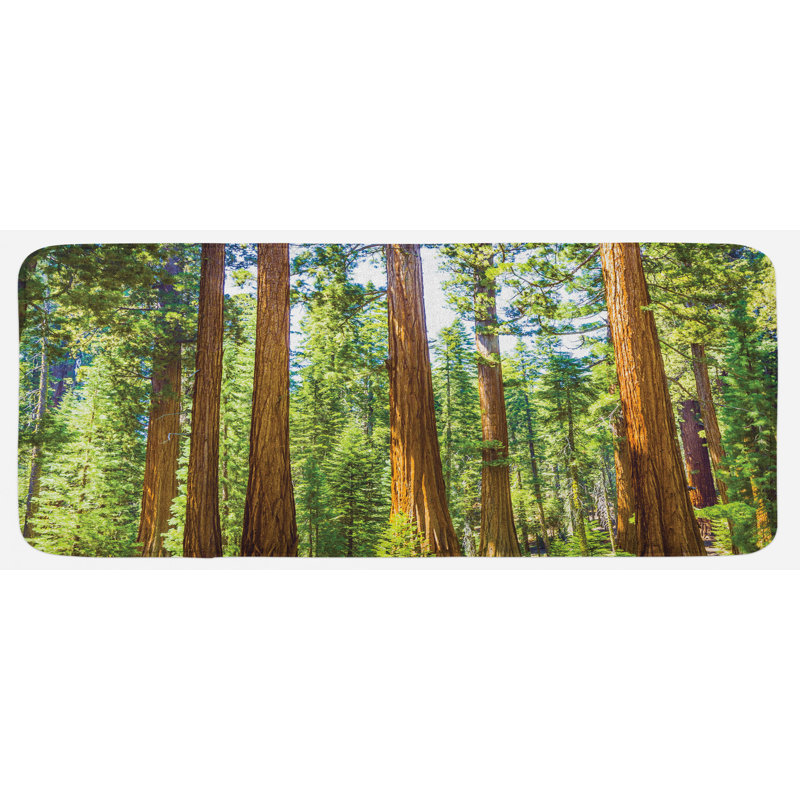 Tapis de cuisine national parks