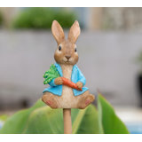 Peter Rabbit Holding a Carrot