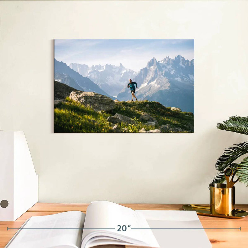 Sireci Trail Runner, 8" H x 12" W