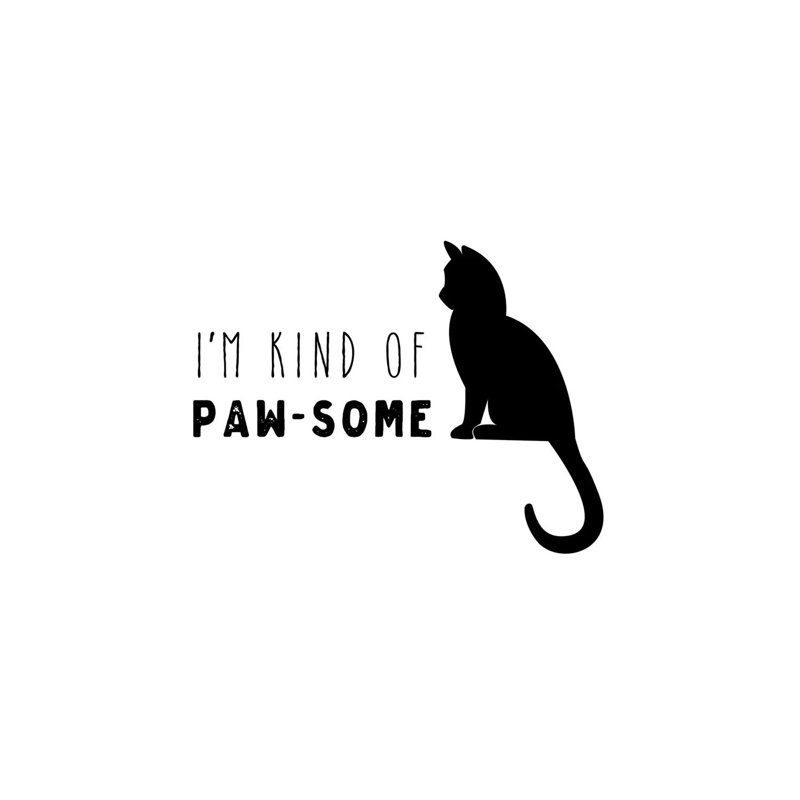 Pawesome Cat by Amanda Murray - Wrapped Canvas Print, 45.72 cm H x 45.72 cm W x 3.175 cm D
