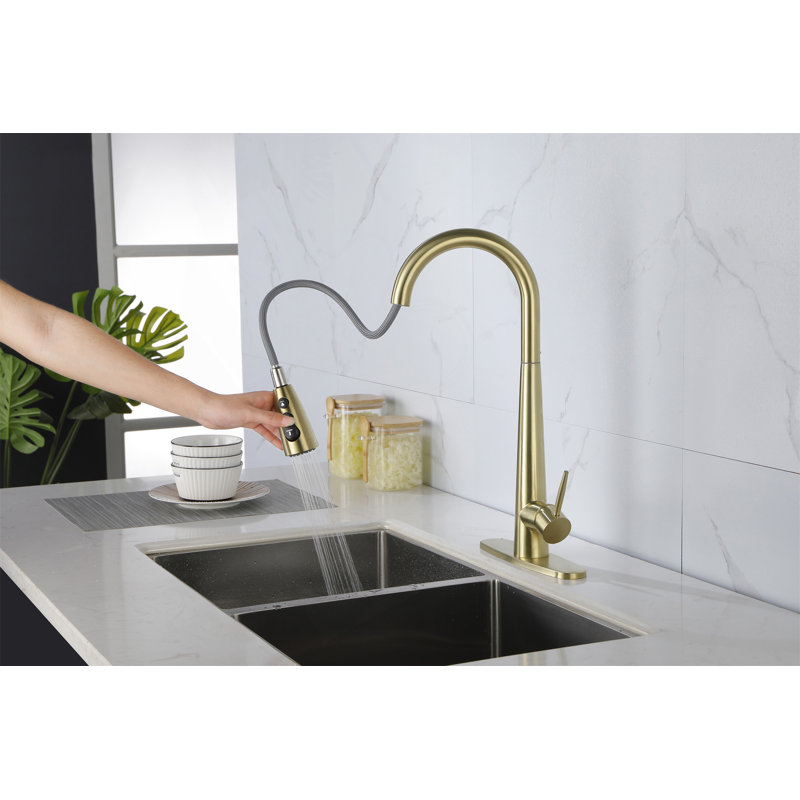 Single Handle Stainless Steel Kitchen Sink Faucet With Pull Down Sprayer, Brushed Gold