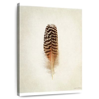 Plume Kerner II