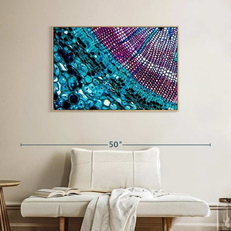Pine Stem Under Microscope, 40" X 27", Floating Frame Natural Wood