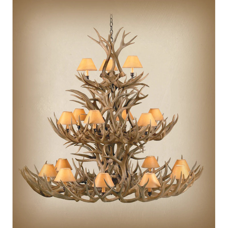 Ridlon 18 - Light Chandelier