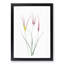 Horned Tulip Flowers by Pierre-Joseph Redoute - Picture Frame Painting Print-55580344-55580346