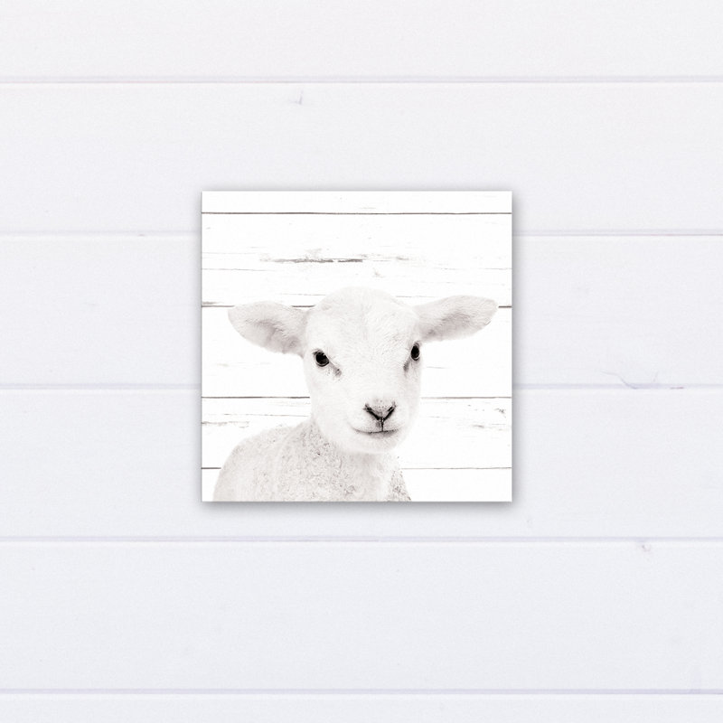 « baby agneau », art sur toile