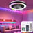 19" Smart RGB Flush Mount Ceiling Fan With LED Lights And Remote & APP Control, Dimmable Color Changing For Bedroom, Living Room-674186357-674186348