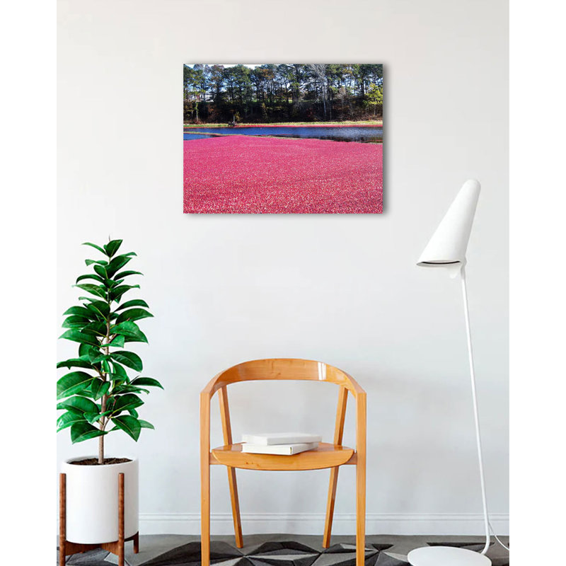 «Cape Cod Cranberry Harvest» par Joseph Condon, reproduction de photo sur toile