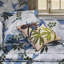 Guatiza Peche Decorative Pillow