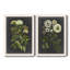 Ex-libris floral I, reproduction d'art sur toile-535558443-535558485-453475705