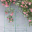 2 Pack Metal Garden Trellis Rustproof Trellis For Climbing Plants Outdoor Flower Support-135920805-135920806