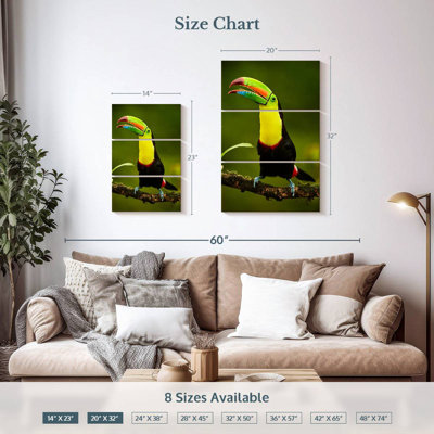 Brampt Rainbow Billed Toucan