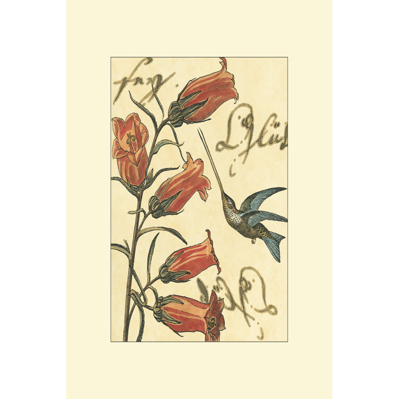 Hummingbird Reverie II by Vision Studio - Wrapped Canvas Print, 46cm H x 30cm W