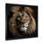 Black Single Picture Framed